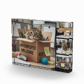 Office Fun Cats Photo, City, Business Cat フォトブロック (右)