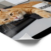 Office Fun Cats Photo Poster, Business Cat ポスター (コーナー)
