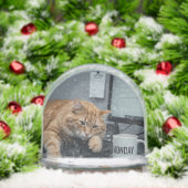 Office Monday, Fun Cats meme Snow Globe (クリスマス)
