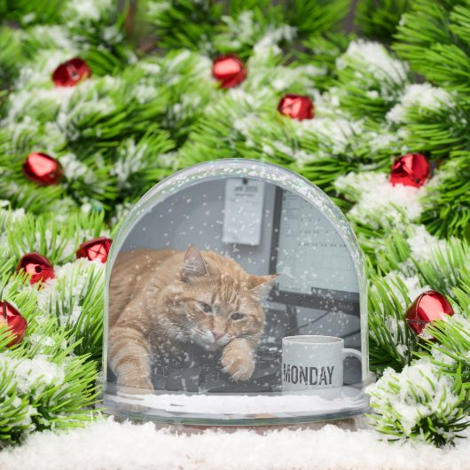 Office Monday, Fun Cats meme Snow Globe (クリスマス)