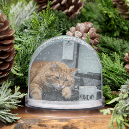 Office Monday, Fun Cats meme Snow Globe