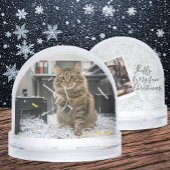 Office Reports Cat, Fun Cats meme Snow Globe