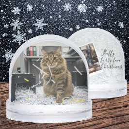Office Reports Cat, Fun Cats meme Snow Globe