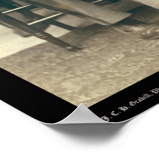 Officers of the 9th Cavalry SD 1891 ポスター (角)