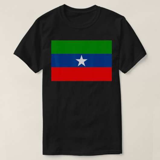 Ogaden t Ethiopia Somali Ogaden T gift Tシャツ (デザイン正面)