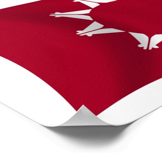 Oglala Lakota Flag Poster Print ポスター (角)