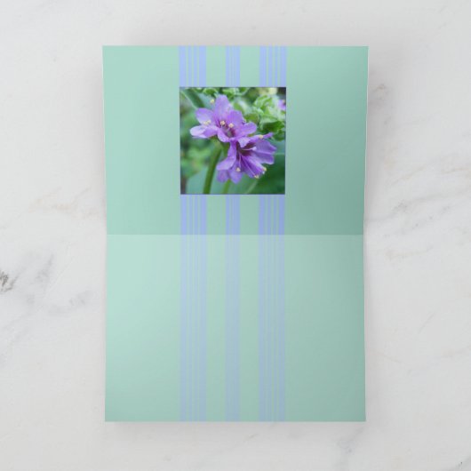 Ohそう紫色 カード (内部)