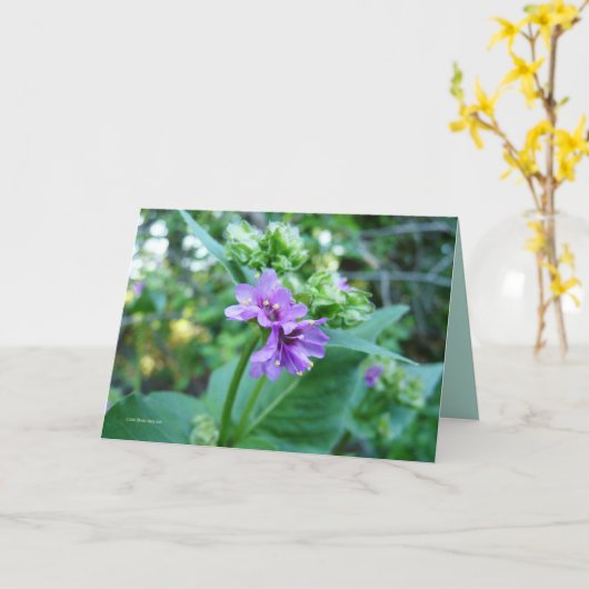 Ohそう紫色 カード (黄色い花)
