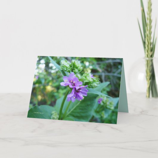 Ohそう紫色 カード (正面)