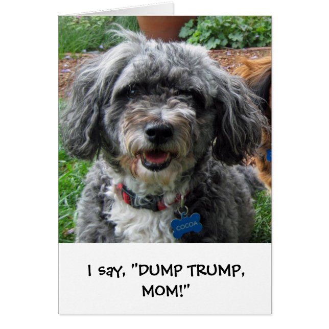 Ohココア!! (正面)