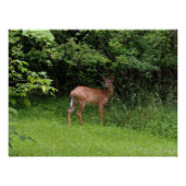 Ohシカ! ポスター (正面)