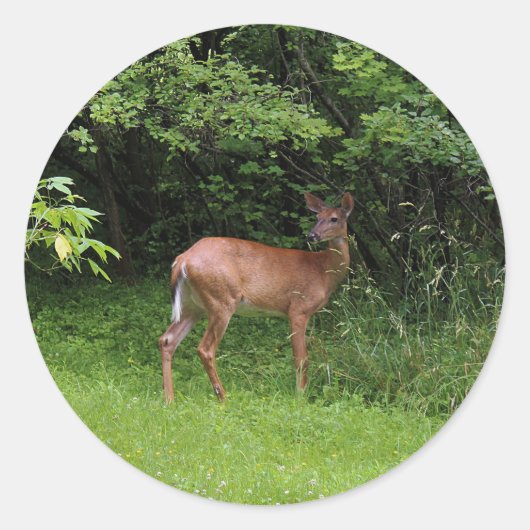 Ohシカ! ラウンドシール (正面)