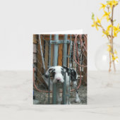 "Oh現金!" グレートデーンの子犬 カード (黄色い花)