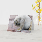 Oh私、oh私 カード (黄色い花)