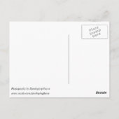 OH,デイトン, Cox Arboretum ポストカード (裏面)