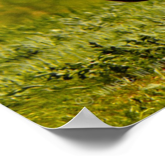 OH-58D木輪 ポスター (角)