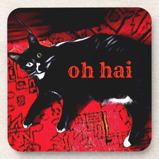 Oh 6のコルクのバックセットが付いているHaiのコースター コースター (正面)