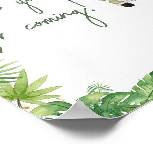 Oh Boy Jungle Safariベビーありがとうございました来。 ポスター (角)