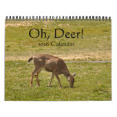 Oh, Deer! 12-month 2026 Calendar カレンダー (カバー)