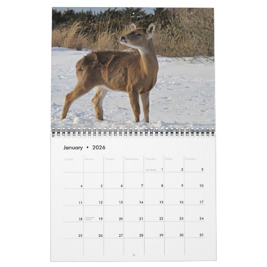Oh, Deer! 12-month 2026 Calendar カレンダー (1月 2026)