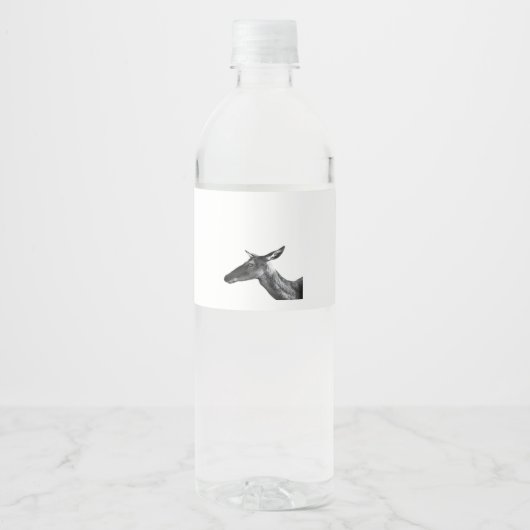 Oh Deer Modern Aesthetic Vibe  ペットボトルラベル (正面)