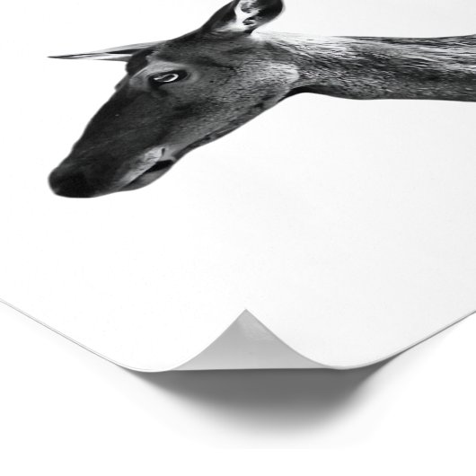 Oh Deer Modern Aesthetic Vibe  ポスター (角)