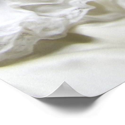 Oh Dollyポスター ポスター (角)