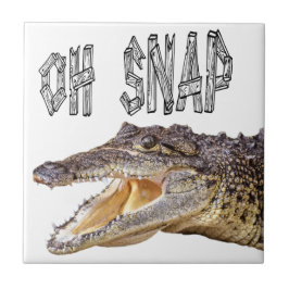 OH SNAP – ゲー怒タ タイル