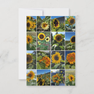 Oh So Many Sunflowers Collage ノートカード