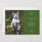 Oh Whatおもしろいペット写真クリスマスグリーン シーズンカード (裏面)