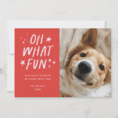Oh Whatおもしろいペット写真クリスマスレッド シーズンカード (正面)