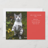 Oh Whatおもしろいペット写真クリスマスレッド シーズンカード (裏面)