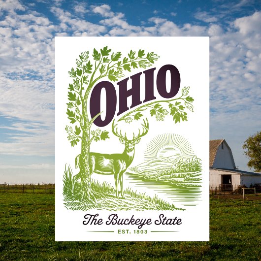Ohio The Buckeye State Est. 1803 Travel ポストカード