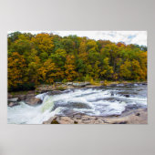 Ohiopyle Falls, Pennsylvania ポスター (正面)