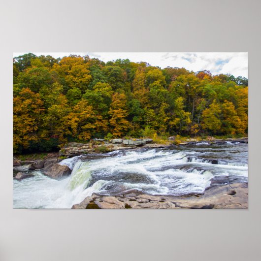 Ohiopyle Falls, Pennsylvania ポスター (正面)
