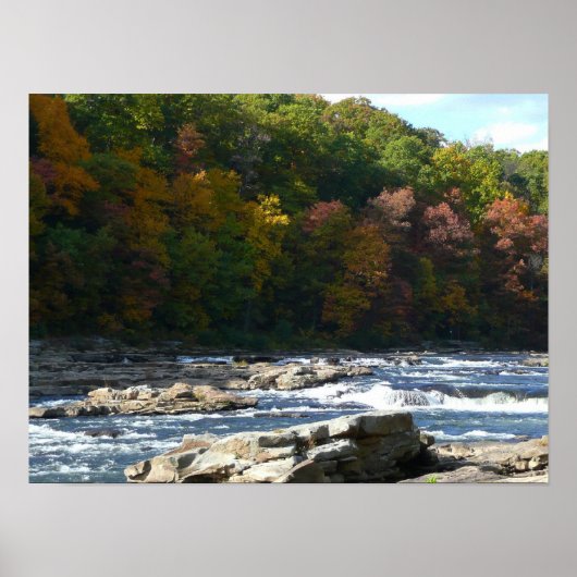 Ohiopyle River Rapids in Fall Pennsylvania Autumn ポスター (正面)