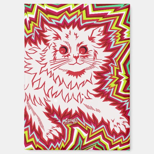 Oingo Boingo psychedelic cat magnet マグネット (正面)