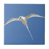 Oiseau Paille en Queue Ile Maurice タイル (正面)