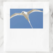 Oiseau Paille en Queue Ile Maurice 長方形シール (バッグ)