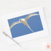 Oiseau Paille en Queue Ile Maurice 長方形シール (封筒)