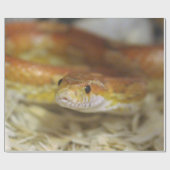 oj粋なヘビの包装紙 ラッピングペーパー (フラット)