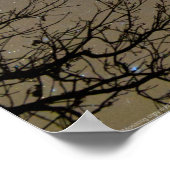 Ojiig Ojibwe星座のポスター ポスター (角)