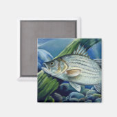 OK 2008ボーレス1036高 マグネット (正面/裏面)