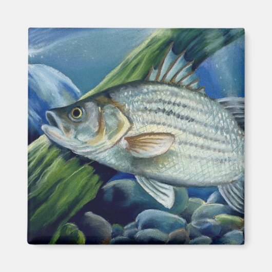 OK 2008ボーレス1036高 マグネット (正面)