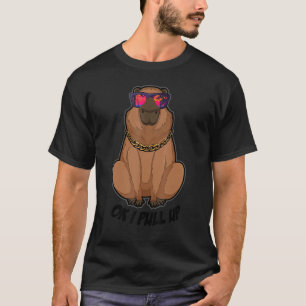 OK IプルアップカピバラサングラスビーチカピラH Tシャツ