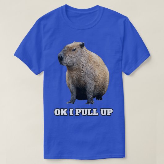 Ok IプルアップCapybara (2) Tシャツ (デザイン正面)