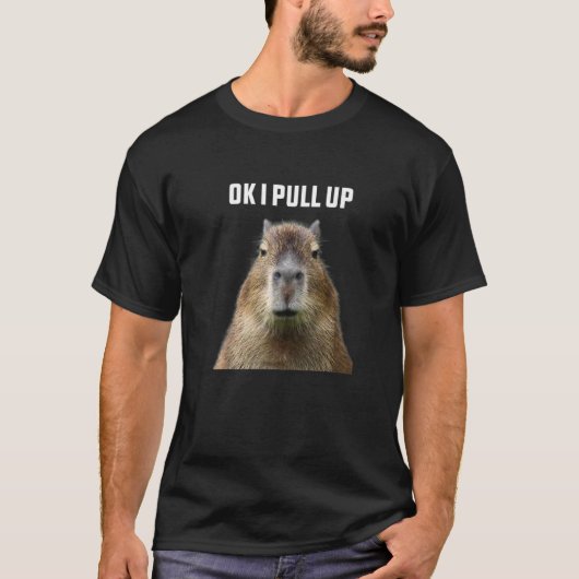 OK IプルアップCapybara Premium Tシャツ (正面)