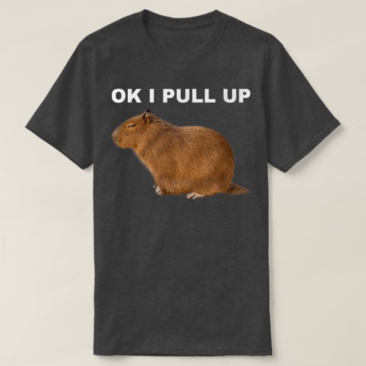 Ok I Pull Up Capybara Funny Meme Cute Animal Tシャツ (デザイン正面)