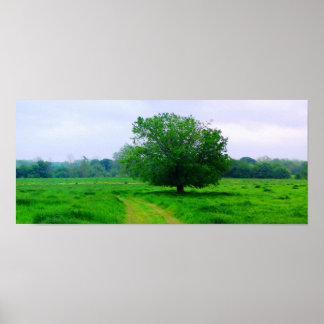 Oka' Yanahli (色飽和) ポスター