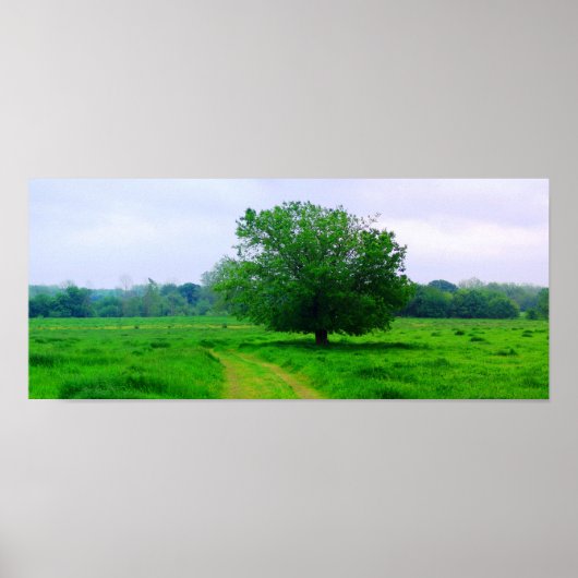 Oka' Yanahli (色飽和) ポスター (正面)